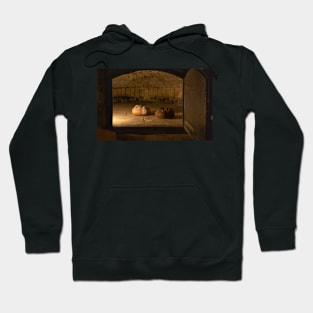 Old oven Hoodie